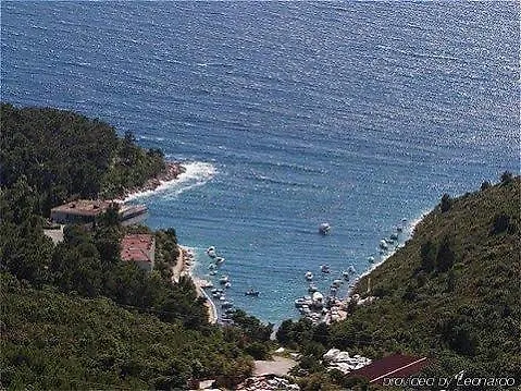 Sirena Hvar - New In 2026 Готель